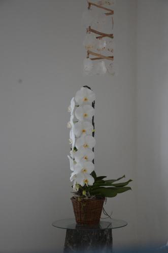 Guarracino Hotel Capri